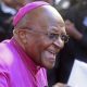 Desmond Tutu : L'histoire de « l'évêque rebelle » d'Afrique du Sud