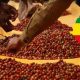 Les banques prêteront 12 milliards d'ETB aux producteurs de café de la réserve en Éthiopie
