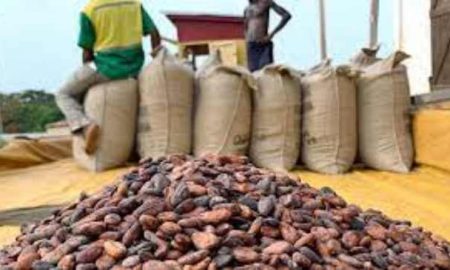 Le secteur agricole du Ghana affiche une croissance de 9% au troisième trimestre