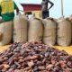 Le secteur agricole du Ghana affiche une croissance de 9% au troisième trimestre