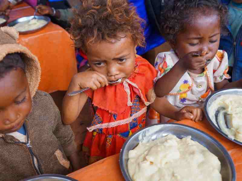 Une étude confirme que le réchauffement climatique n'est pas responsable de la famine à Madagascar