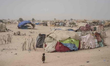 Le Commissaire aux droits de l'homme appelle la communauté internationale à aider le pays à faire face aux défis sécuritaires et humanitaires au Niger