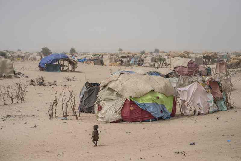 Le Commissaire aux droits de l'homme appelle la communauté internationale à aider le pays à faire face aux défis sécuritaires et humanitaires au Niger