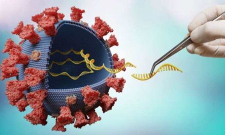 Expert sud-africain : la souche Omicron pourrait dépasser Delta