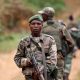 Les armées ougandaise et congolaise libèrent 31 otages des rebelles