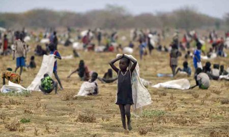 L'Union européenne met en garde contre une "crise alimentaire" dans la région du Sahel l'année prochaine