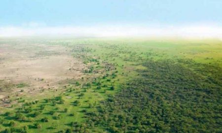 Cela peut doubler la quantité de pluie, c'est ainsi que le mur végétal africain affecte le climat