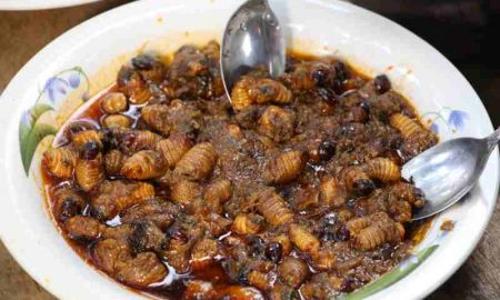 Le ver de palmier...Un repas préféré au Cameroun