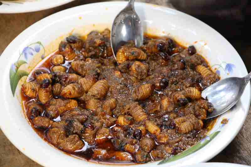 Le ver de palmier...Un repas préféré au Cameroun