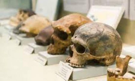 L'un des plus anciens fossiles d'Homo sapiens en Éthiopie est beaucoup plus ancien qu'on ne le pensait auparavant