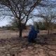 Éthiopie : en raison de la sécheresse, plus de 6 millions de personnes auront besoin d'une aide vitale en 2022