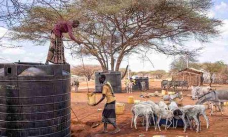 La FAO lance un plan de 138 millions de dollars pour éviter une crise de la faim à grande échelle dans la Corne de l'Afrique