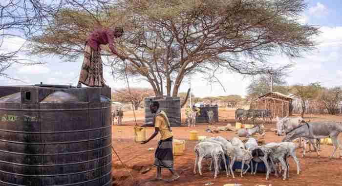 La FAO lance un plan de 138 millions de dollars pour éviter une crise de la faim à grande échelle dans la Corne de l'Afrique