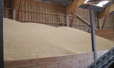 Le Bureau des normes du Kenya approuve deux normes pour le stockage des céréales