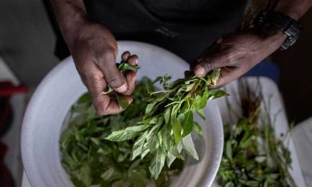 La cuisine traditionnelle du Kenya obtient la reconnaissance de l'UNESCO