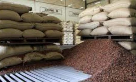 La Sierra Leone obtient sa première usine de cacao