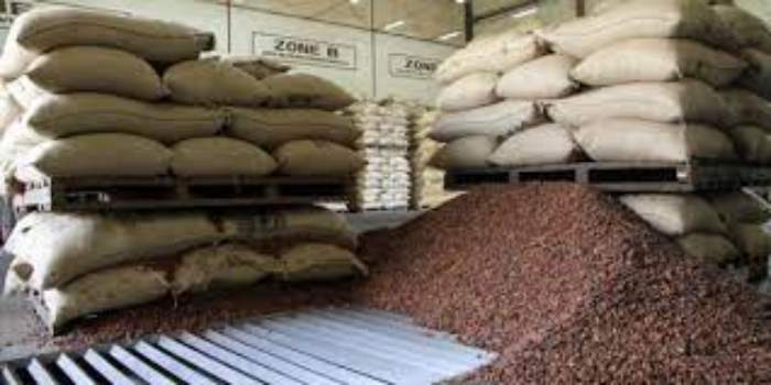 La Sierra Leone obtient sa première usine de cacao