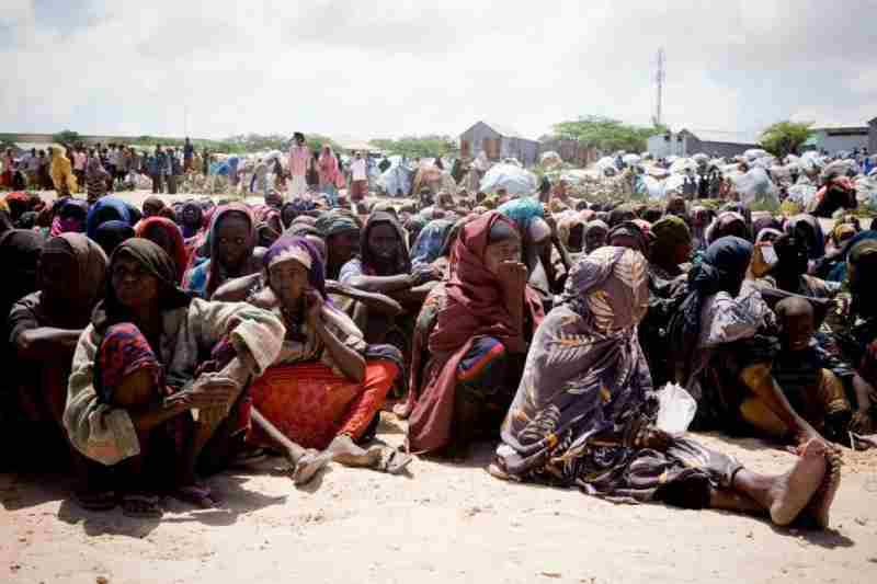 Secours international : la sécheresse et l'insécurité alimentaire ont touché des millions de personnes en Somalie et en Éthiopie