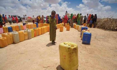 Le Somaliland déclare l'état d'urgence en raison de la sécheresse