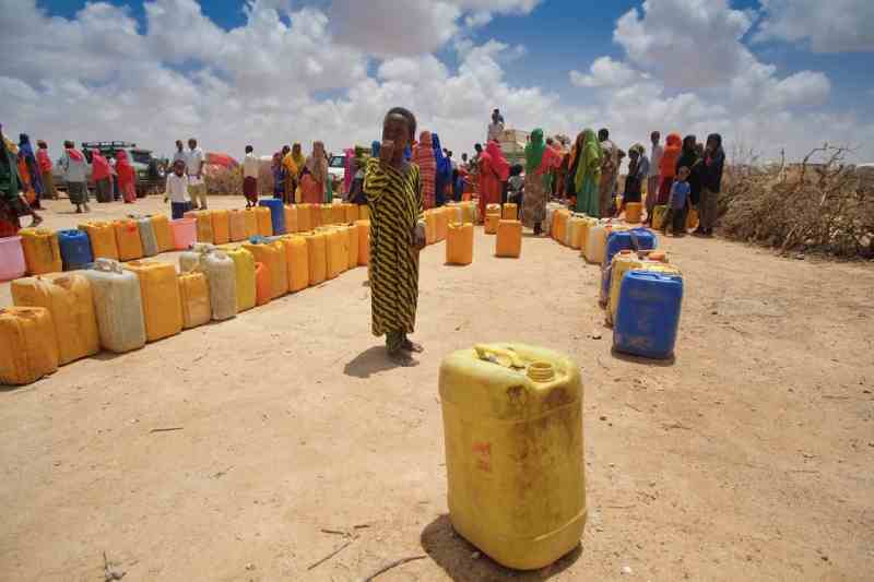 Le Somaliland déclare l'état d'urgence en raison de la sécheresse