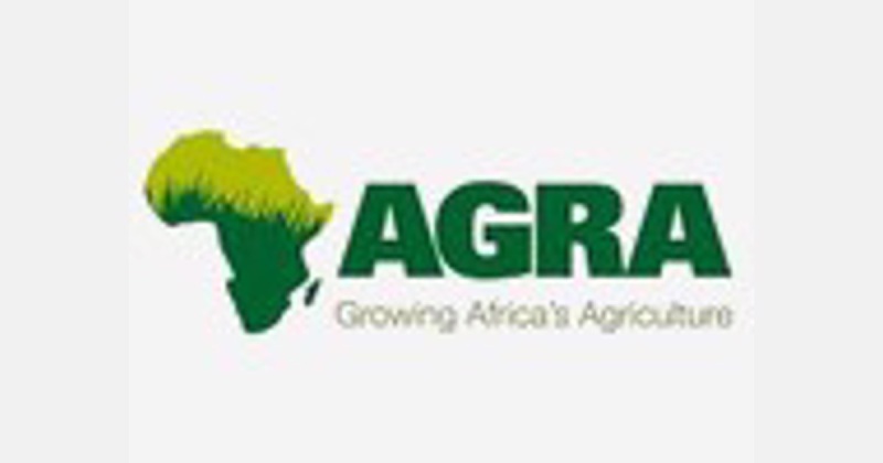 L'AGRA et la Fondation Kofi Annan lancent une initiative pour lutter contre la malnutrition au Ghana