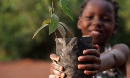 Les dirigeants africains appellent à un financement urgent pour lutter contre le changement climatique