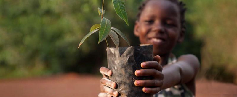 Les dirigeants africains appellent à un financement urgent pour lutter contre le changement climatique