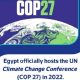 Les États-Unis et l'Égypte lancent un groupe de travail pour préparer le sommet sur le climat de la COP27