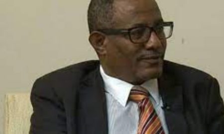 Le ministère éthiopien des Affaires étrangères accuse l'Égypte et le Soudan de soutenir le Front du Tigré