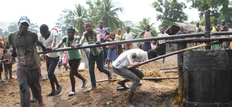 Les IFD européennes vendent la dette de la société d'exploitation des plantations de palmiers à huile en RDC