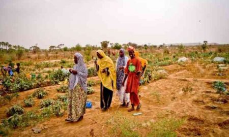 Lancement du Plan de Réponse Humanitaire au Mali en vue d'obtenir 686 millions de dollars