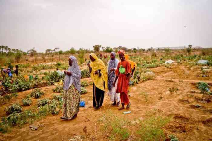 Lancement du Plan de Réponse Humanitaire au Mali en vue d'obtenir 686 millions de dollars