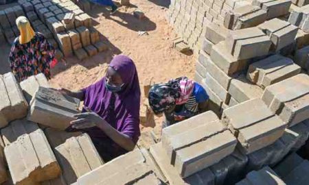 Des femmes construisent un avenir durable : Lutter contre la désertification au milieu des crises des réfugiés et du climat au Niger