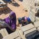 Des femmes construisent un avenir durable : Lutter contre la désertification au milieu des crises des réfugiés et du climat au Niger