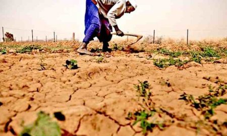 La Somalie est en état de sécheresse et la vie de plus de 5 millions de personnes est en danger