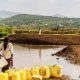 Responsable africain : Le continent n'utilise que 5% de ses ressources en eau