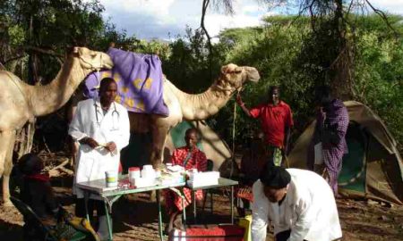 La «clinique de chameaux» apporte des services médicaux dans une région éloignée du Kenya