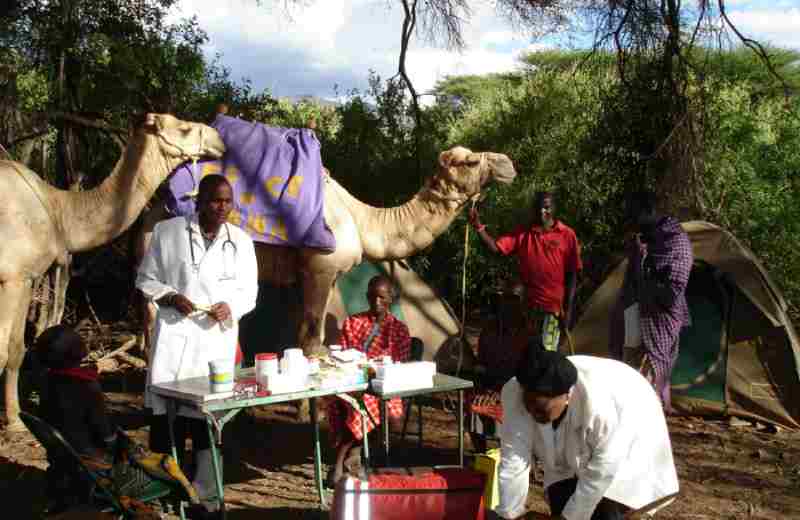 La «clinique de chameaux» apporte des services médicaux dans une région éloignée du Kenya