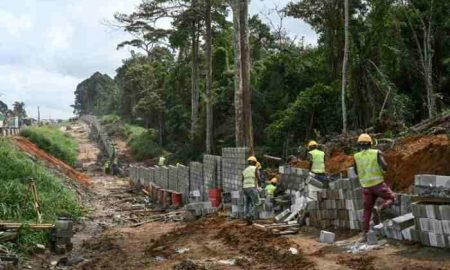 La Côte d'Ivoire mure une forêt pour repousser l'envahissement de la ville