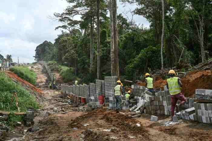 La Côte d'Ivoire mure une forêt pour repousser l'envahissement de la ville