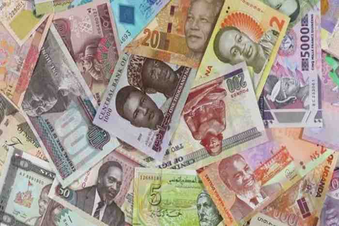 Les performances des principales devises africaines sur le marché international