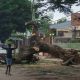 Le cyclone Gombe fait 12 morts et d'importants dégâts matériels au Mozambique