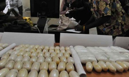 980 kg de cocaïne saisis par la police disparaissent en Guinée-Bissau