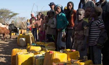 Rapport de l'ONU : la Somalie la plus durement touchée par la sécheresse dans la Corne de l'Afrique