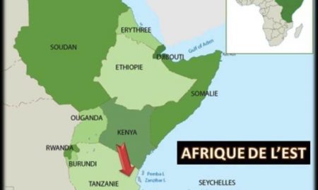 Coordination de la sécurité et du renseignement entre les pays d'Afrique de l'Est