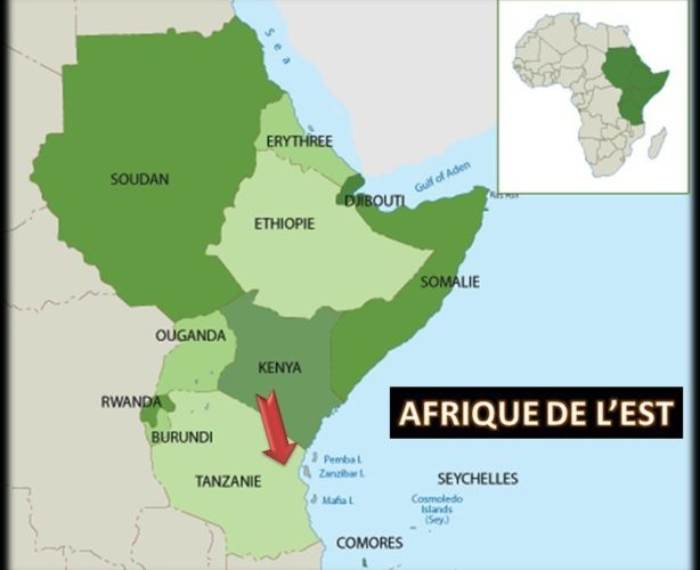 Coordination de la sécurité et du renseignement entre les pays d'Afrique de l'Est