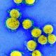Le Botswana détecte une nouvelle variante du coronavirus