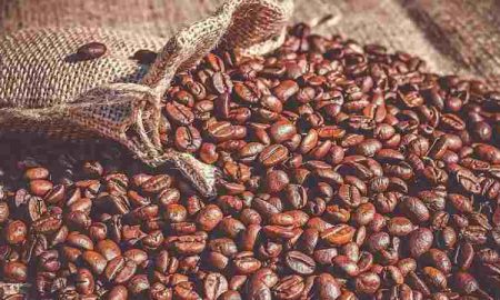 Le secteur du café au Burundi peine à rebondir