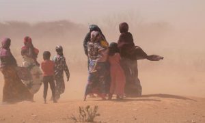 Corne de l'Afrique : Crainte que le nombre de personnes souffrant de la faim n'augmente de six millions cette année en raison de la sécheresse