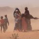 Corne de l'Afrique : Crainte que le nombre de personnes souffrant de la faim n'augmente de six millions cette année en raison de la sécheresse
